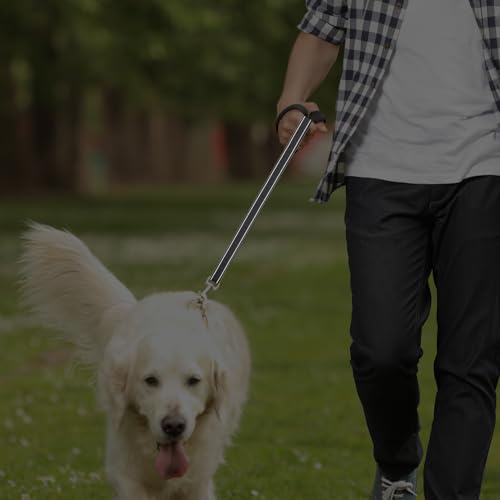 QWORK® Doppelleine, Anti-Zieh Hundeleine, 360° Drehung Reflektierend Trainingsleine, für Mittelgroße bis Große Hunde (Schwarz)