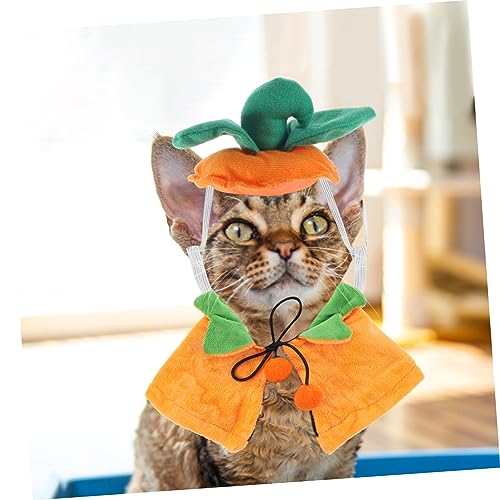 Disfraz capa y gorro de Calabaza Halloween para perros y gatos miniatura 5