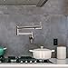 Besdor Pot Filler Faucet Brushed Nickel, Wall Mount Folding Kitchen Faucet with Double Joint Swing Arms, Single Hole 2 Handles, 304 Stainless Steel