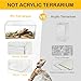 Clioran Reptile PC Terrarium,Tarantula Enclosure,Spider Tank Starter Kit,Leopard Gecko Container,Hermit Crab Habitat,Lizard Enclosure,Insect Housing,Jumping Spider Cage,Bearded Dragon Vivarium XL