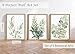 Induslyfe Framed Eucalyptus Sage Green Botanical Plant Wall Art Canvas Decor Set of 6, Leaves Wall Art Prints Posters Art, Eucalyptus decor Flower wall art for bathroom bedroom living room decor 9x12