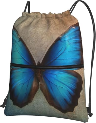 [ESASAV]   ibvTbN WTbN В ̑ V[YobO j̎q ̎q LbY