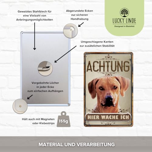 30 x 20 cm wetterfestes Blechschild, Warnhinweis, Torschild, Achtung, hier Wache ich! Warnung vor dem Hund (Rhodesian Ridgeback)