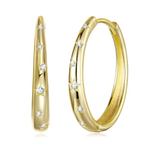 Elegant Hoop Earrings for Women Star Silver/Gold Plated Earrings Hypoallergenic Earring for Women Jewelry Gifts for Christmas,Valentine's Day,Anniversary