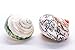 Hermit Crab Shells | Turbo Shells | 1 African Sarmaticus and 1 Green Banded Turbo Shell 2