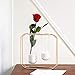 Casa Vivente Rosa Eterna Preservada Plantas Naturales Color Rojo Longitud 27,5 cm