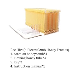 WYDG Bee Hive Complete Kit Auto Flow Beehive,House Kit Beehive Boxes with 4 Pieces Comb Honey Frames for Beginning and Professional Beekeepers