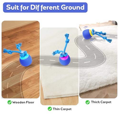 Jeux chien avec corde solide et balle interactive résistante pour stimuler l'activité - 7