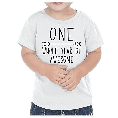 First Birthday Boy T-Shirt One Year Old Birthday Boy Outfit (12 Months White)