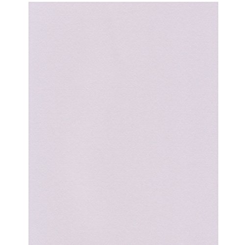 エスケント ケント紙 スターカラー A4 アイリス 100枚 5730007