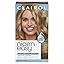 8C Medium Cool Blonde