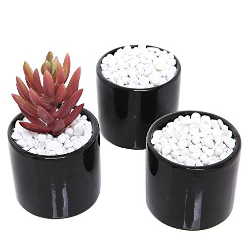 Royal Sapphire Decorative Stone Decorative River Rock Stones - Natural White Color Stones Use In Glassware, Like Vases, Aquariums, Terrariums To Enhance The Appearance 4.5 Lbs; Gravel Size 1 Inch #TOP2