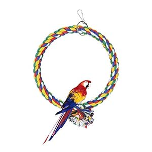 WishLotus Bird Swing, Cage Hanging Toys Cotton Rope Swing Bite Resistance Perches Toy Parrot Toy Boredom Breaker for Budgie, Cockatiels, Conures, Finches, Small Parakeets (18cm)