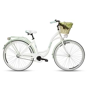 Goetze Blueberry Vintage retro stadsfiets voor dames, Hollandse fiets, 1 versnelling zonder schakelsysteem…