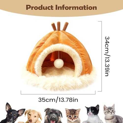 ybg L nEX | gvbVn O\ \ - pLP[u ~Gp | VтƋxp ^^^L rO[ xbh[ K[W