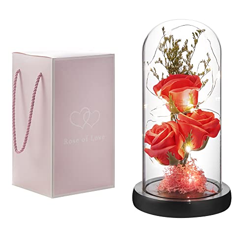 Preserved Flower Gift, Light Up Rose in Glass Dome, Eternal Forever Rose Flower Gifts for Her, Grandma, Mother’s Day, Valentine’s Day, Anniversary, Birthday, Christmas Decorations, Red