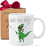 Qupoomafu Best Friend Birthday Gifts for Women, Funny Friendship Mug Gift for Bestfriend Besties BFF Sister Boss Big Sis Sorority, Novelty Dinosaur Coffee Mug, What Now Bit** Dinosaur Mug 11oz-41