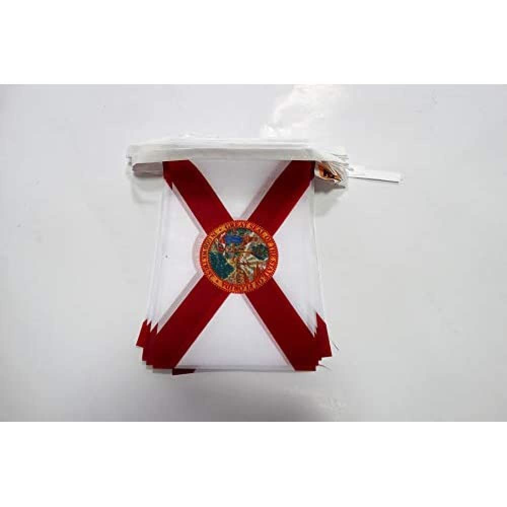 AZ FLAG Florida Bunting 20 ft 20 flags Light Polyester