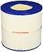 Pleatco PMA40-2003-R Replacement Cartridge for Master Spas, Down East Round Outer, Eco-Pur, 1 Cartridge