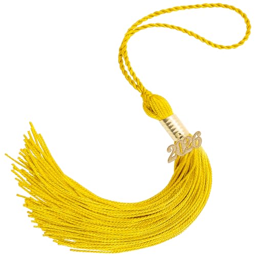 2026 Tassel Graduation 9 Long Charms Diamond Tags Grad Caps Decorations Class of 2026 Tassels Ceremonies Accessories for Kindergarten High School College Bachelor Gown Master Graduate (Gold-2)