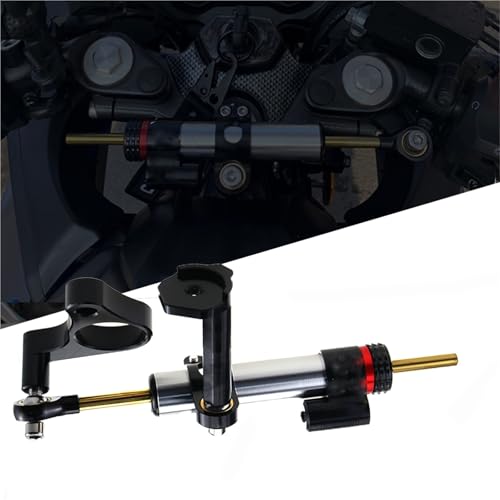 Amortisseur de direction Suzuki GSX250R contre le guidonnage moto