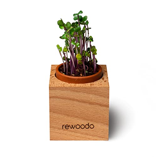 rewoodo Pflanztöpfe - Indoor Garten Anzuchtsystem Mini-Gewächshaus Tischdeko Schreibtisch(6er Set, Pflanztöpfe) - Image 6