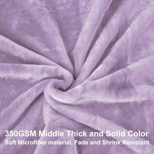 Image of JYK Fleece Plush Blanket - 3.5 LB, 1 Ply Lightweight Korean Style Mink Blanket, Queen 79 inch x 91 inch - Super Soft, Warm & Cozy, Microfiber Bed Blanket for All Seasons, Light Purple