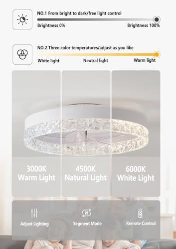 Lustre ventilateur plafond RVB dimmable télécommande pour chambre - 5