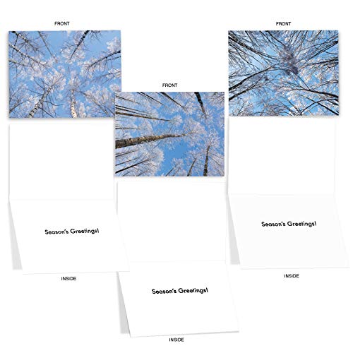 10 Assorted 'Snow Tops' Season's Greetings Cards With Envelopes Small 4 X 5.12 Inch, Holiday Note Cards With Snow-Covered Branches And Tree Tops, Stationery Set For Holidays, Winter, Parties M9632Xsg #TOP2