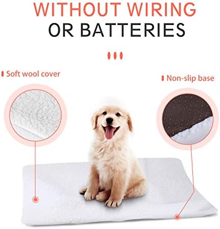 small electric blanket for pets
