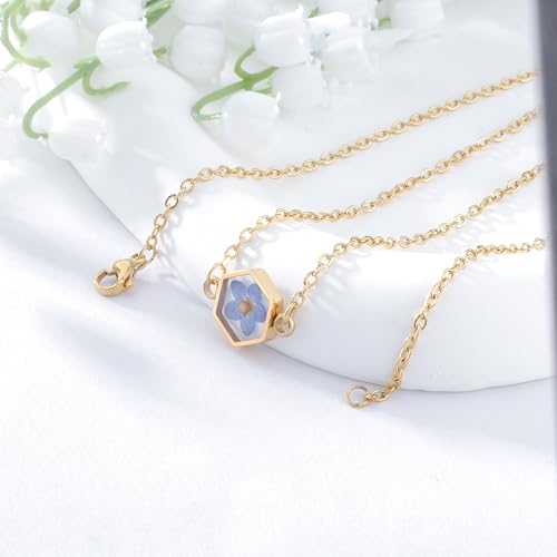 PARTNER Miscarriage Jewelry Gift for Women Forget Me Not Seed Memorial Necklace Embryo Loss Keepsake Gifts for Pregnancy Loss Grief Sympathy Necklace Gift for Women3