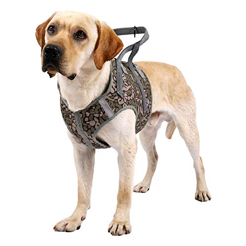 HEYWEAN Dog Lift Harness with Handle Support Injured Front Back Legs Adjustable Pet Recovery Assistive Strap