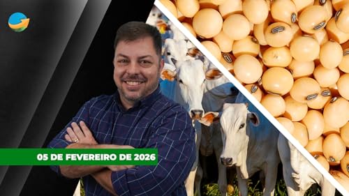 Soja volta a subir 20 pontos em Chicago com promessa de maior demanda chinesa; boi tem neg&oacute;cios de at&eacute; R$350/@ em SP