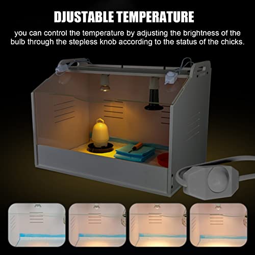 Kit de iniciación de pollitos con parrilla ventilada y lámpara de calor para una cría segura y cálida de aves de corral