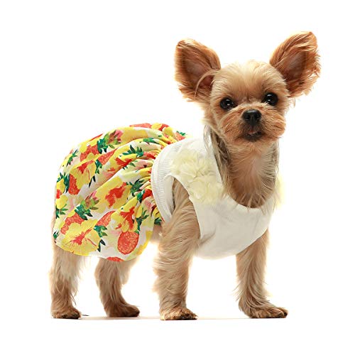 Fitwarm Vestido de verão com flores tropicais, roupas para cães, vestido para cães, roupas para cães