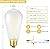 HOMOSUM Frosted Vintage LED Edison Bulbs, 6W, Equivalent 60W, High Brightness Soft White 3000K,ST58 Dimmable Antique LED Filament Bulbs with 90+ CRI, E26,Pack of 6 (6W=60W Soft White)