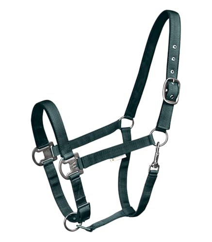 Licol Gloomy Waldhausen Vert : Évitez les Frottements avec ce Licol WB pour Cheval Sensible