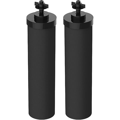 Filterlogic NSF/ANSI 42&372 Certified Water Filter, Replacement for Berkey® BB9-2® Black Purification Elements and Berkey® Gravity Filter System, Pack of 2
