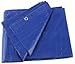 Blue Poly Tarp (Tarps)