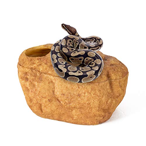 The 5 Best Snake Hides For Ball Pythons