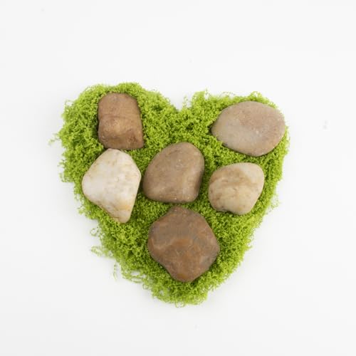 Image of 10LB Mixed Stones Pebbles River Rocks, Natural Beach Pebbles,1-2 Inch Decorative River Rocks for Landscaping Garden Paving Plant Rocks Crafting Walkways and Outdoor Decorative Stone