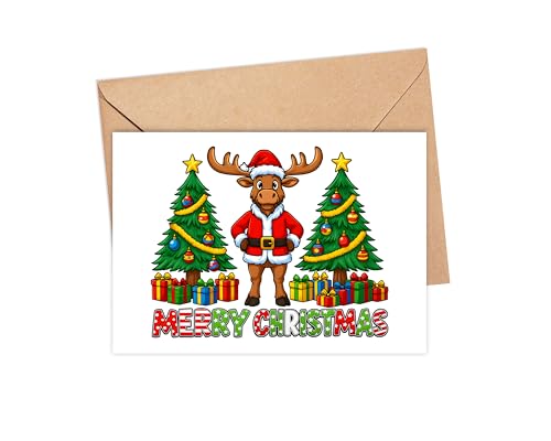 AdamLongStore [X NX}XJ[h 2025 - ʔT^giJCX^C zf[c[ƃMtg{bNXt - FlƑւ̂jA G߂̃RNVpfR[V