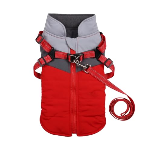 gpR[g H~pWPbg n[lXt hh ^ ^ ^p(Red,M)