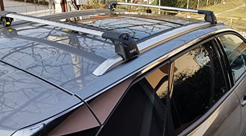 Turtle Air2 - Barra de Techo de Coche - Portaequipajes - Compatible con vehículos Peugeot 5008 (T87) SUV 2017+ (Silver)