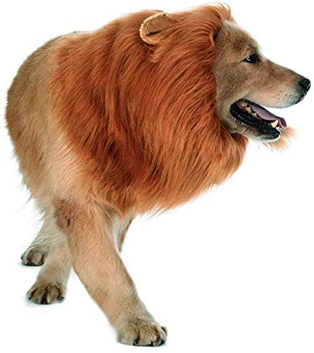 Amazon Co Jp 犬 猫用ライオンたてがみ ペット用品