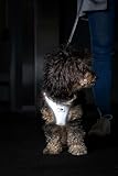 Glow curli Clasp Vest Harness Reflective Gray M