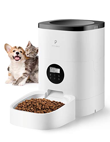 automatic timed feeder