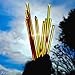 Raw Honey Sticks - Honey Sticks For Tea - Honey Straws - One Teaspoon of Pure Raw Honey Per Stick - (50 Pack) Each Stick is Gluten Free, Fat Free, and has no Preservatives