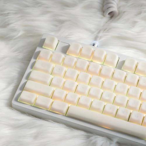 Amazon.co.jp: XVX ホワイトジェードキーキャップ,ダブルショットPBT製