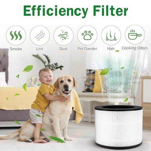 Image of H02 Replacement Filters Compatible with TechCare TC-6020B & HIMOX H02